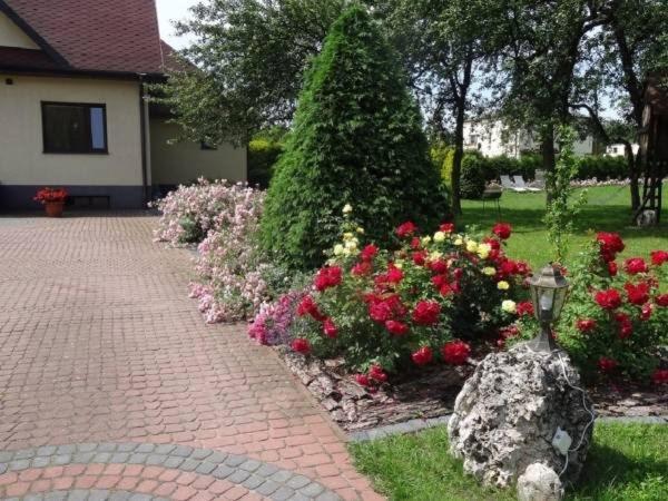 Skalny Apartamenty, Pokoje Ogrodzieniec Exterior photo
